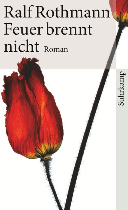 Image du produit Feuer brennt nicht (Allemand, Ralf Rothmann, 2010)