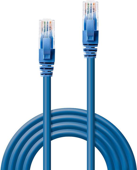 Actual product image Lindy Network cable (U/UTP, CAT6, 3 m)