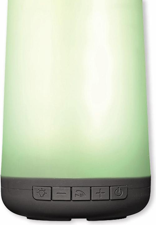 Actual product image Denver BTL-311 Loudspeaker (2 h, Battery operated)