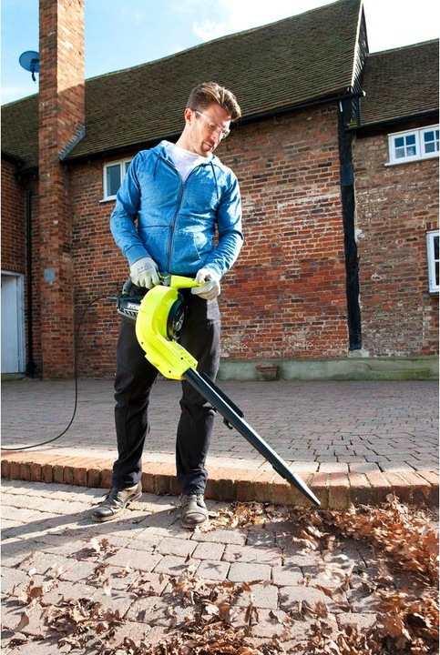 Actual product image Ryobi Rbv3000cesv (Electrical connection, Leaf blower, Leaf vacuums)