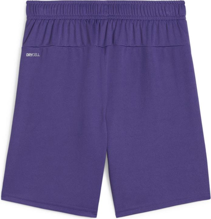 Actual product image Puma teamGOAL Shorts Jr (152)