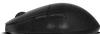 Actual product image Endgame Gear XM2w 4k (v2) - Wireless Gaming Mouse - Dark Frost