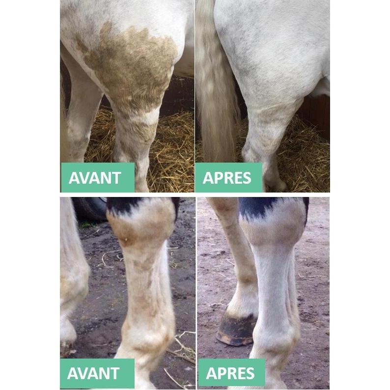 Thumbnail - Ekin, Pferde Pflegemittel