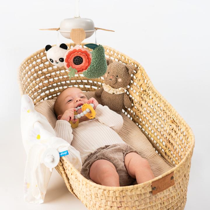 Image du produit Taf Toys Coffret cadeaux pour nouveau-nés Deluxe