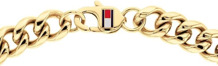 Actual product image Tommy Hilfiger Solid steel necklace for men Wild 2790605 (Stainless steel, 40 cm)