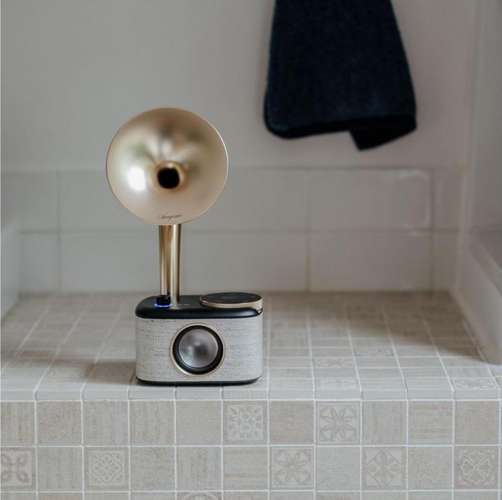 Actual product image Sangean CP 100D (DAB+, FM, Bluetooth)