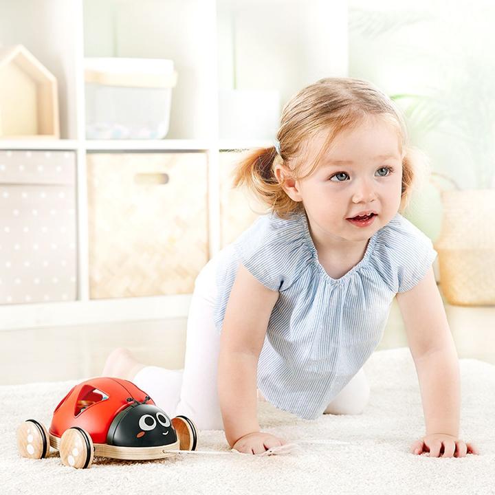 Immagine prodotto Hape Coccinella selezionatrice di forme
