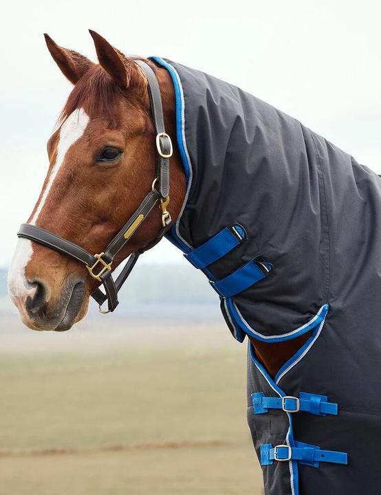 Produktbild Weatherbeeta Comfitec Tyro 220g