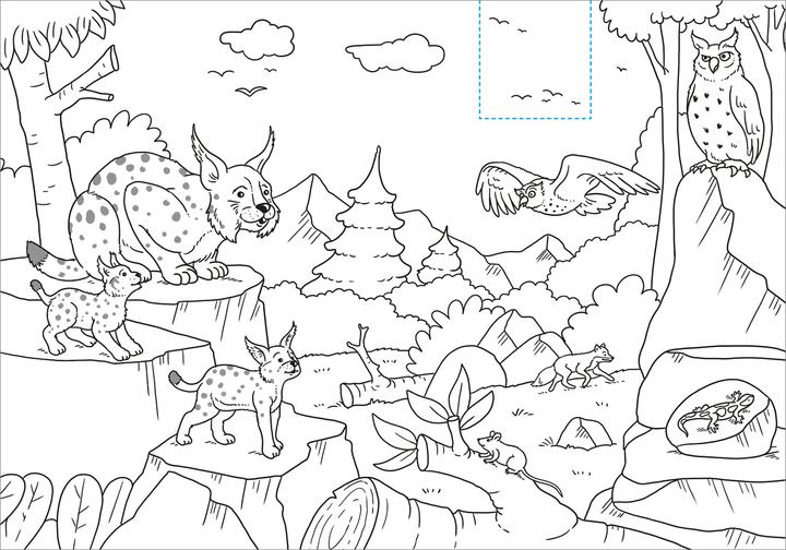 Produktbild Tessloff Schnipp Schnapp Malbuch. Wilde Tiere. Was steckt dahinter?