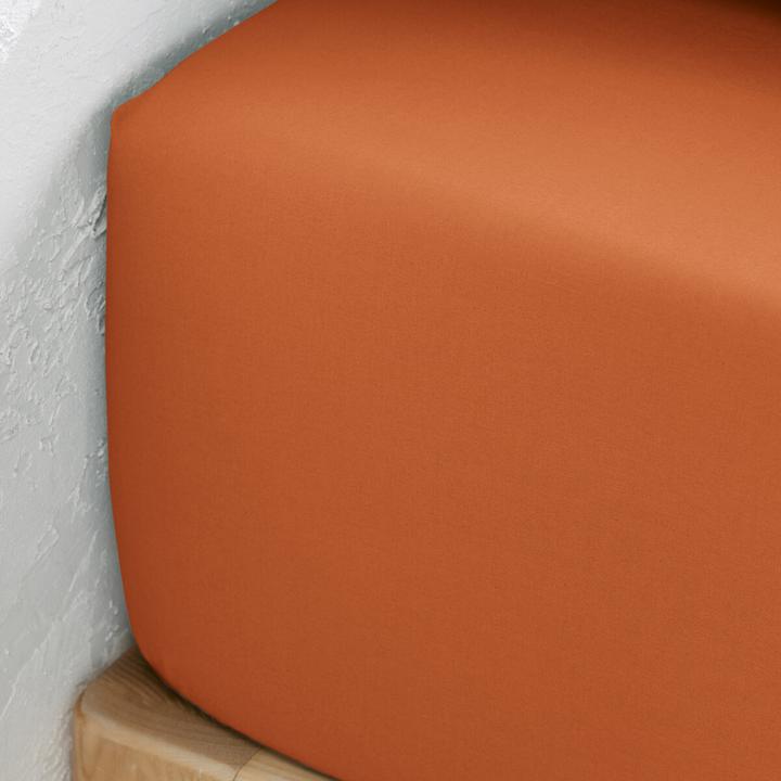 Produktbild La Redoute Interieurs Fixleintuch Scenario aus Baumwollperkal (180 x 200 cm)