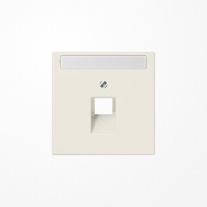 Actual product image JUNG Central plate UAE/IAE 1f LS ws glz LS969-1NAUA