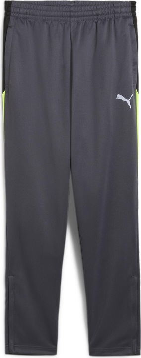 Puma IndividualLIGA Training Pants Jr
