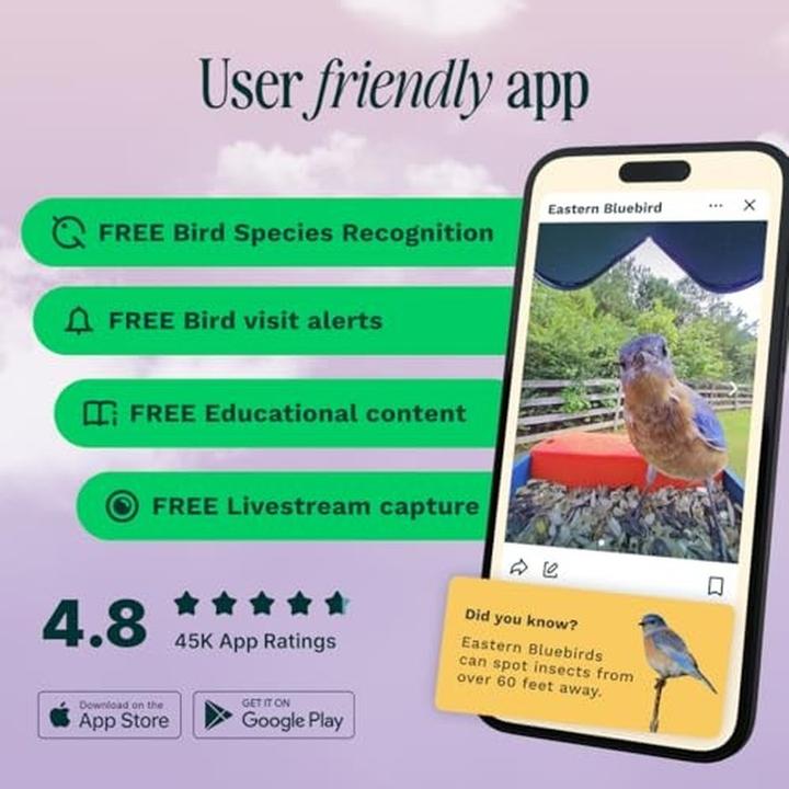 Actual product image Bird Buddy Smart Bird Feeder 2.0
