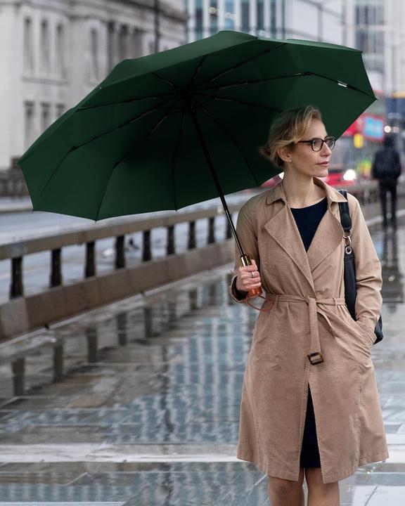 Produktbild Alopini Automatischer grosser sturmsicherer Regenschirm, Taschenschirm mit belüftetem Doppeldach und