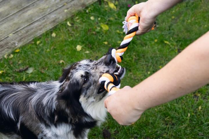 Immagine prodotto Beeztees Corda da gioco con 4 nodi (Gioco da masticare per cani)