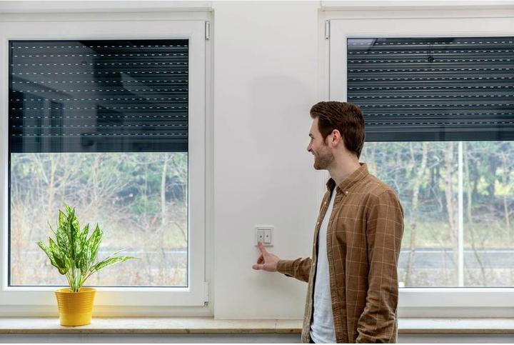 Actual product image Schellenberg 24201 Relay Suitable for (roller shutter systems) Standard and Plus