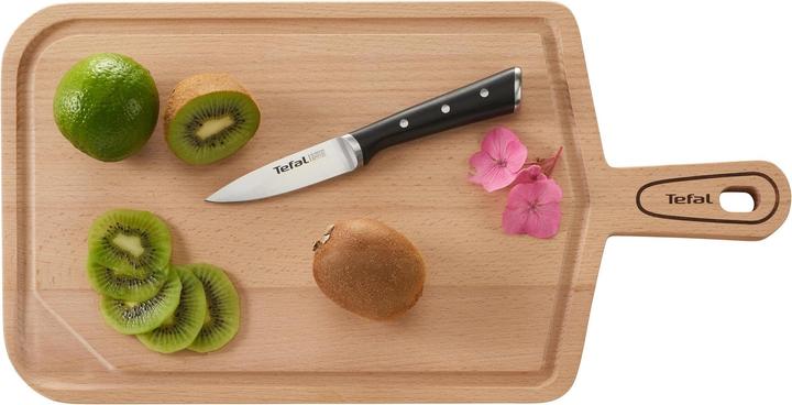 Actual product image Tefal Ingenio Ice Force paring knife (9 cm)