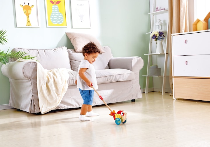 Image du produit Hape Pusher Lilly