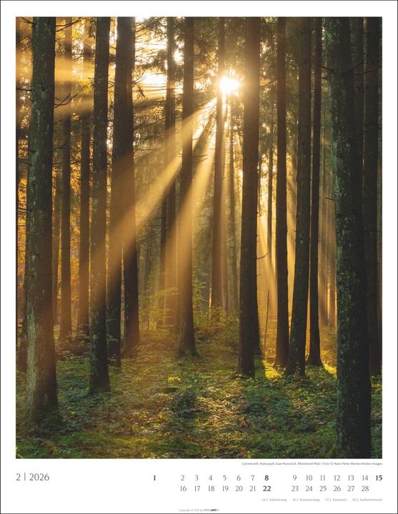 Produktbild Heimische Wälder Kalender 2026 (34 x 44 cm, Harter Einband, Deutsch)