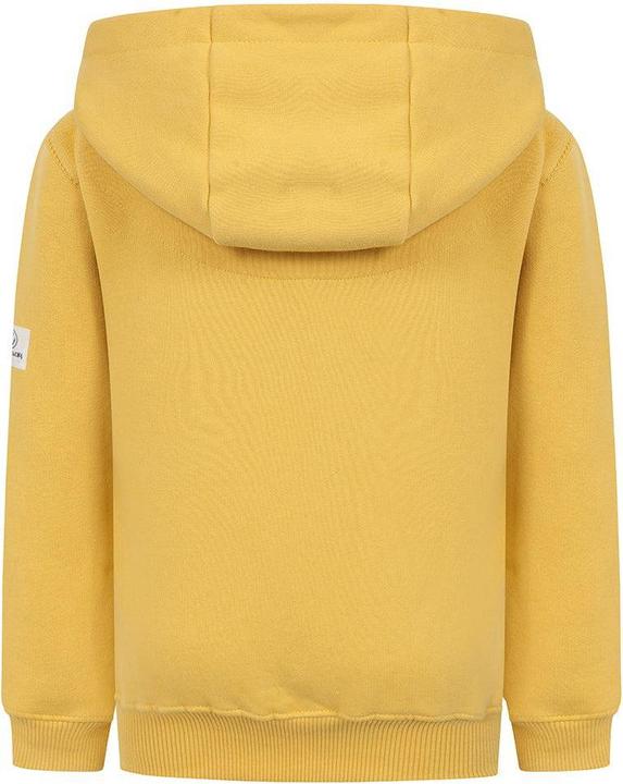 Actual product image Lazy Jacks Childrens/Kids Established Hoodie (92)