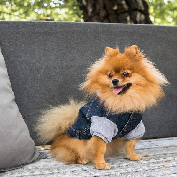 Actual product image amiplay Hoodie DENIM, 30 cm, bleu foncé (30, Dog overalls)