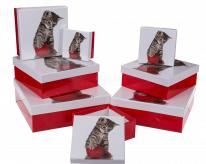 Ootb Rot/weisse Geschenkkartonage, Katze (8x)
