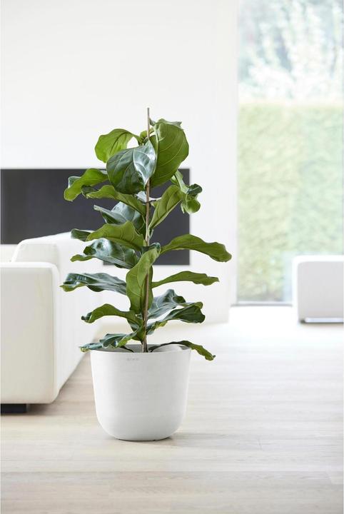 Produktbild Ecopots Oslo (35 cm)