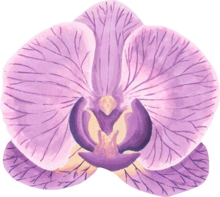 Produktbild Trenddeko Orchideenblüte Watercolor (15 x 14 cm, 55 x 50 cm, 25 x 23 cm, 35 x 32 cm, 65 x 59 cm, 45 x 41 cm)