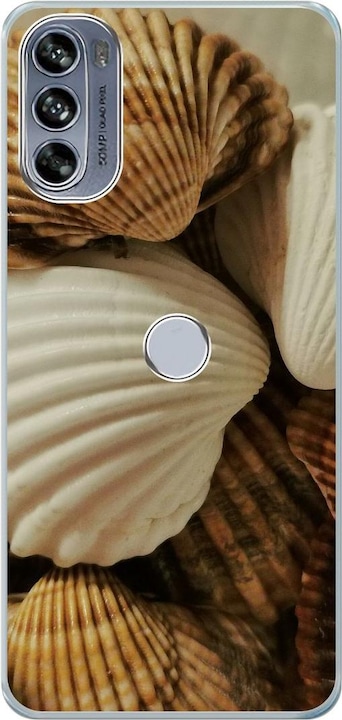 Muscheln