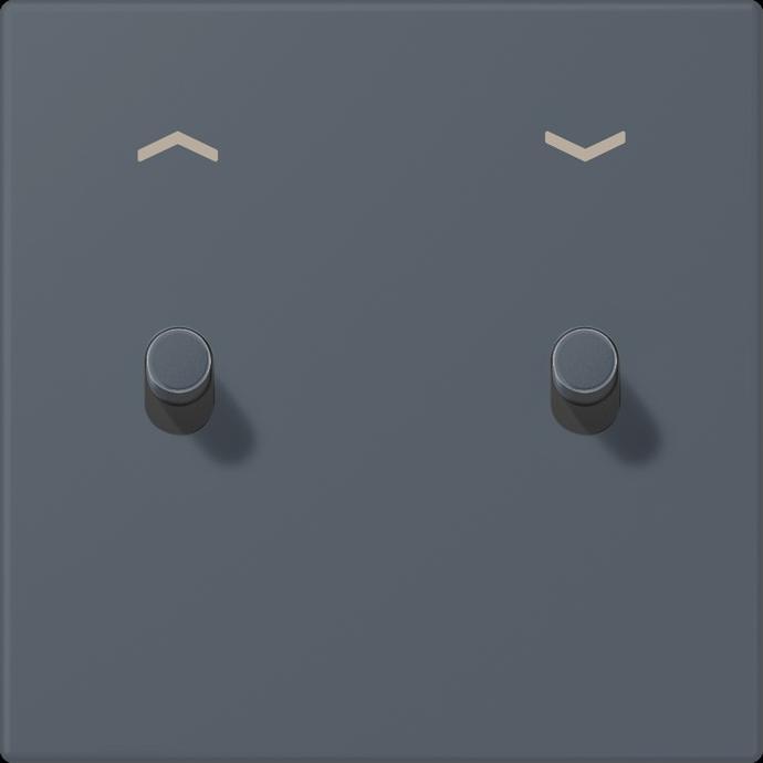 Actual product image JUNG Cover with toggle lever