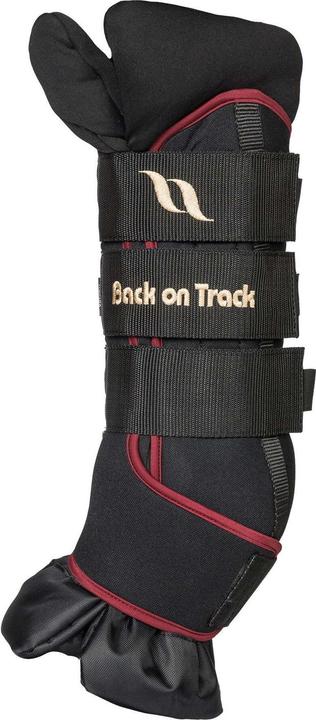 Produktbild Back on Track Deluxe (x2)