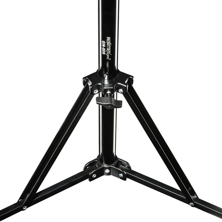 Immagine prodotto Walimex Gn-806 (215 cm, 5 kg)
