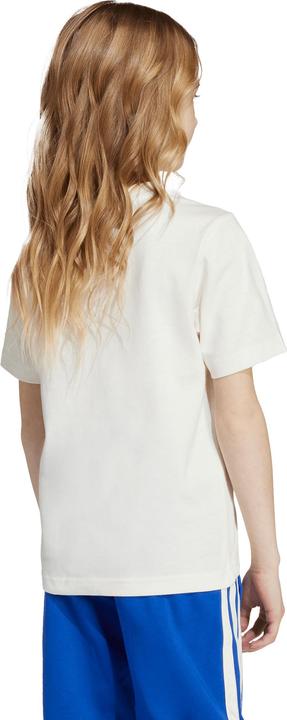 Actual product image adidas Kids Adiraptor Graphic (104)