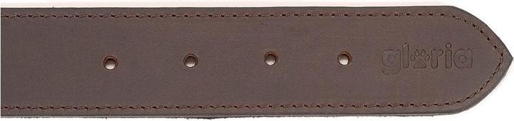 Image du produit Gloria Collier de chien Marron 85 cm (85 x 4 cm) (Chien)