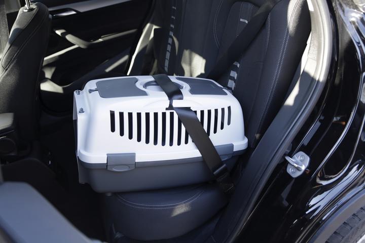 Actual product image Kerbl Gulliver 2 (Cat, Dog, Lockable)