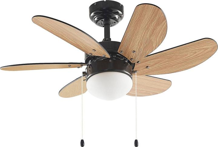 Ventilator