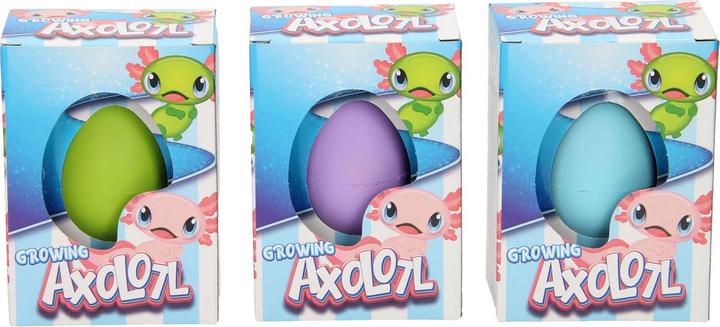 Image du produit Roost Ei mit wachsendem Axolotl