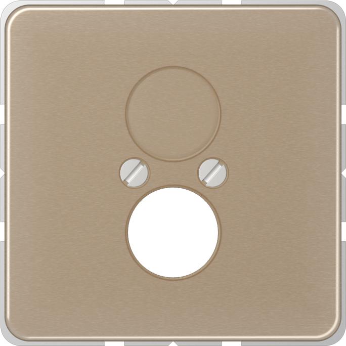 Actual product image JUNG Central plate LS 2f CD go/brz glz CD562GB