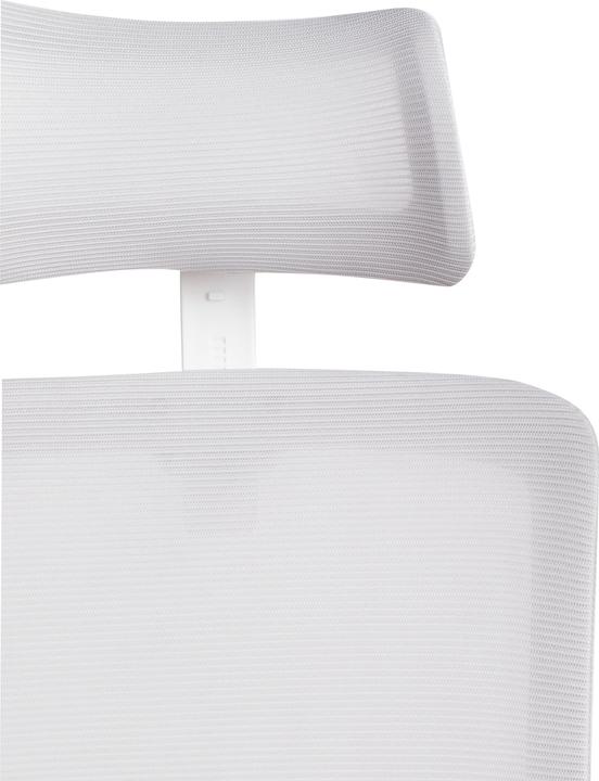 Produktbild Beliani Monarch (35 - 45 cm)