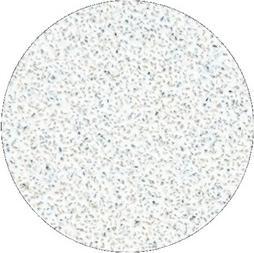 Produktbild Staleks White Refill File Pads for Pedicure Disc Pro L 80 Grit (1 x)