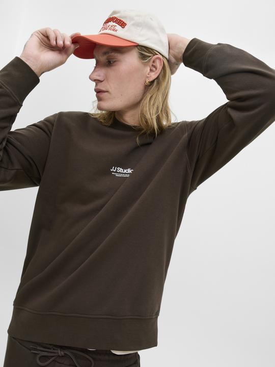 Actual product image Jack & Jones Jjesoho Sweat Crew Neck Noos (M)