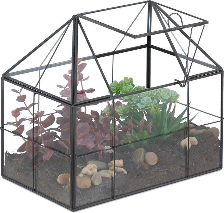 Relaxdays Terrarium de plantes