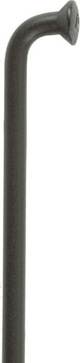 Produktbild DT Swiss Speichen Champion schwarz 2x262mm