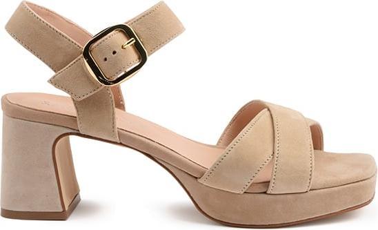 Immagine prodotto Ralph Harrison 3320240 (41)