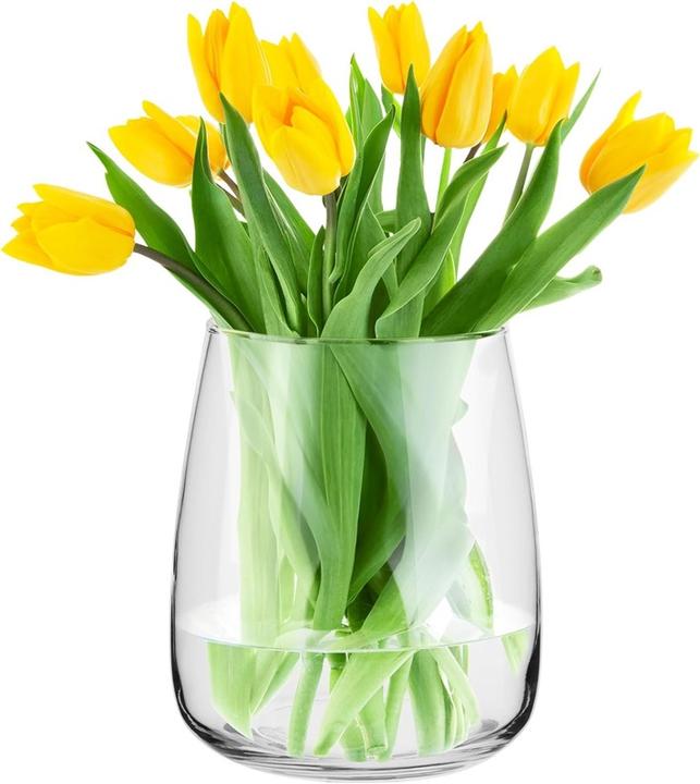 Immagine prodotto Domoletti Vaso MUKM252143