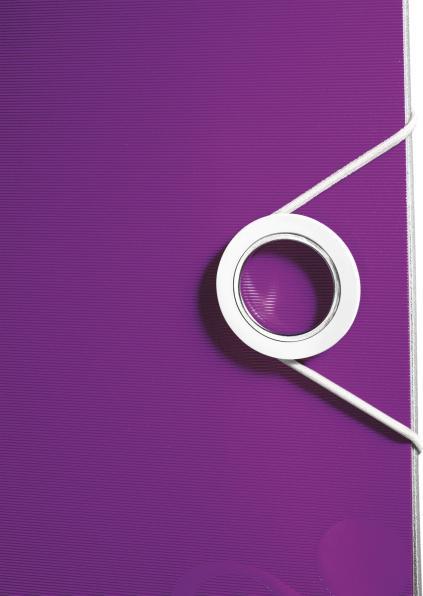 Produktbild Leitz WOW 180° Active (A4, 65 mm, 1 Stück)