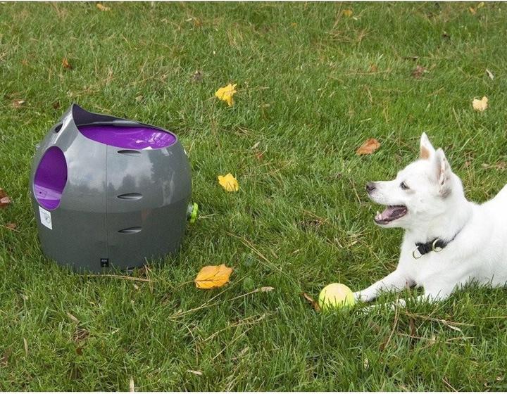 Actual product image PetSafe Ball thrower (Ball toy dog)