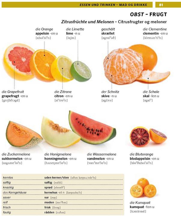 Produktbild Bildwörterbuch Dänisch (Dänisch, Deutsch, 2023)