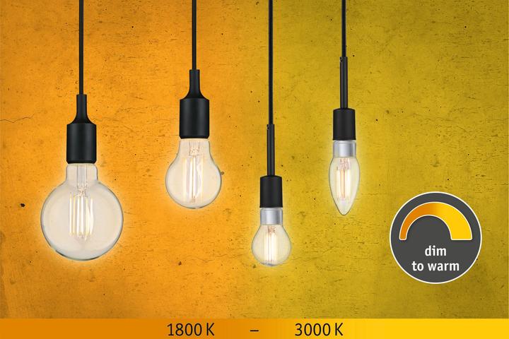 Actual product image Paulmann Candle (E14, 5 W, 470 lm, 1 x, F)