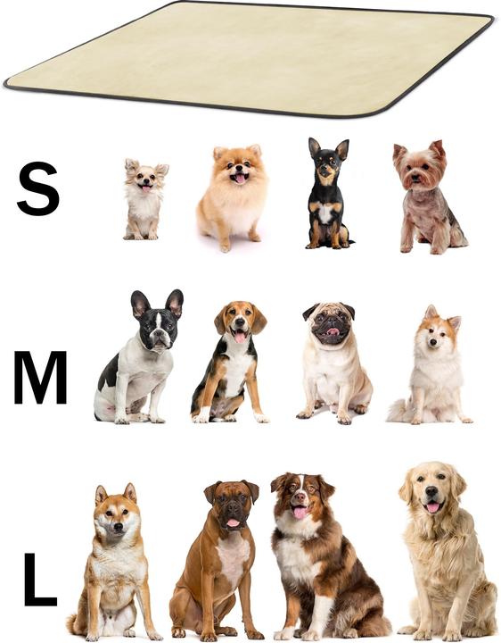 Actual product image Aspero Dog blanket Lund (Dog)